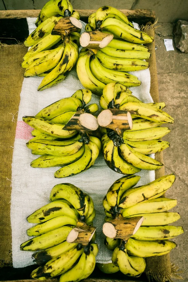 品牌视觉基础规范条目对应的版式与色值整理